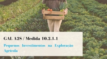 GAL A2S Medida 10.2.1.1 Pequenos Investimentos na Exploração Agrícola - Formtivity