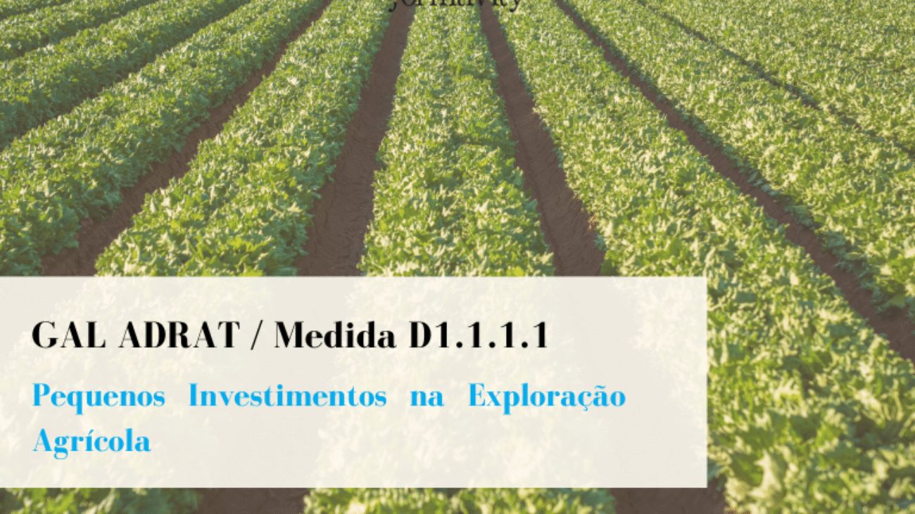 Pequenos Investimentos na Exploração Agricola