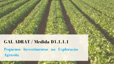 Pequenos Investimentos na Exploração Agricola