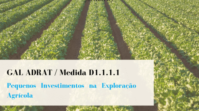 Pequenos Investimentos na Exploração Agricola