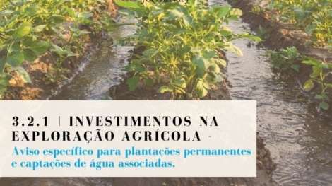 3.2.1 INVESTIMENTOS NA EXPLORAÇÃO AGRÍCOLA - aviso especifico para plantacoes permanentes
