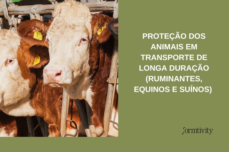 Proteção dos animais em transporte de longa duração (ruminantes, equinos e suínos)