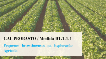 Medida D1.1.1.1 Probasto
