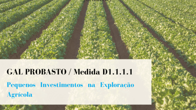 Medida D1.1.1.1 Probasto