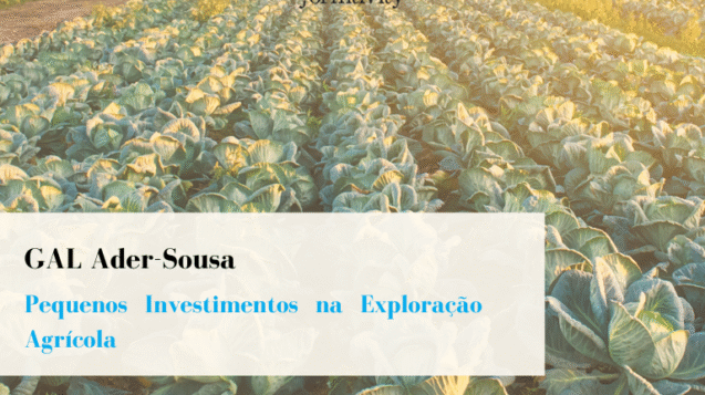 GAL Ader Sousa