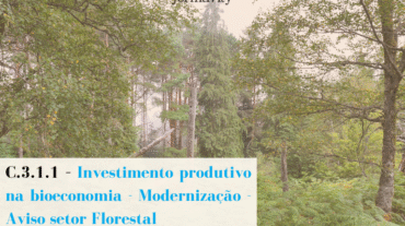 Investimento produtivo na Bioeconomia - Modernização, de caráter florestal