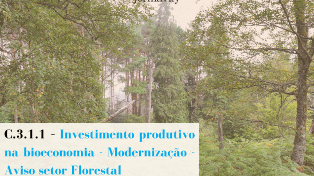 Investimento produtivo na Bioeconomia - Modernização, de caráter florestal