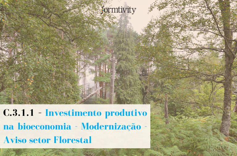 Investimento produtivo na Bioeconomia - Modernização, de caráter florestal