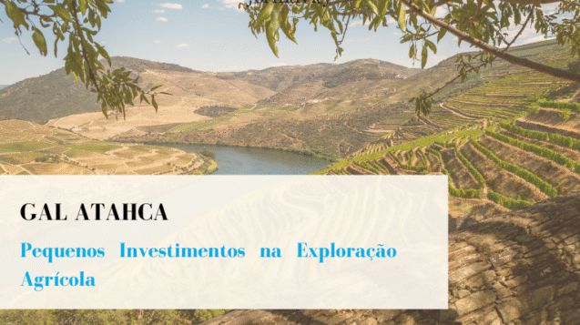 Pequenos Investimentos na Exploração Agricola