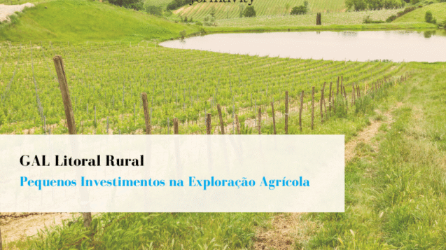 Pequenos investimentos na exploração agrícola
